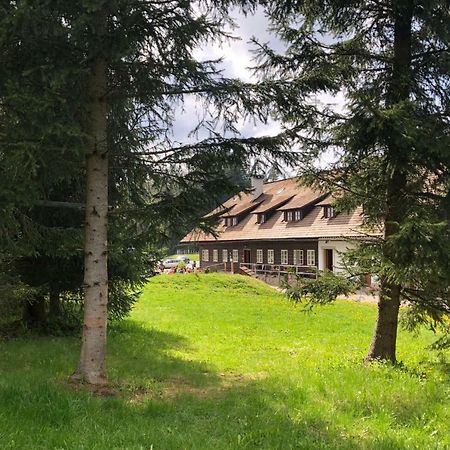 Chata Rovina Hartmanice  Exteriér fotografie