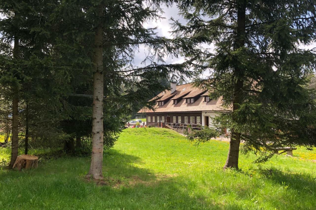 Chata Rovina Hartmanice  Exteriér fotografie